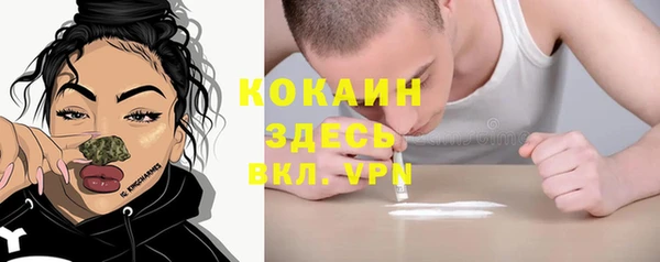 соль ск Михайлов