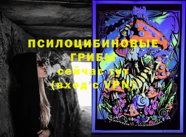 соль ск Михайлов