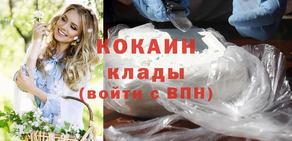 соль ск Михайлов