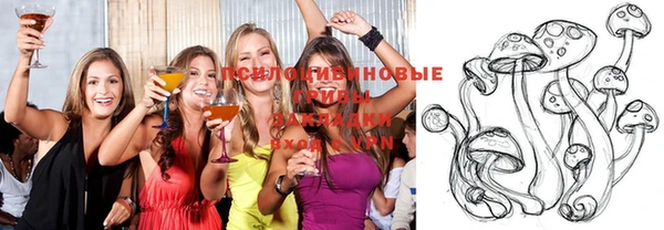 соль ск Михайлов