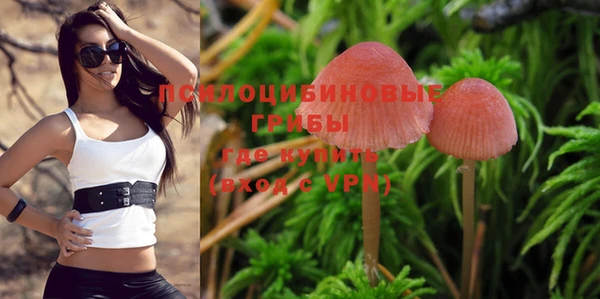 молекула духа Михайловка