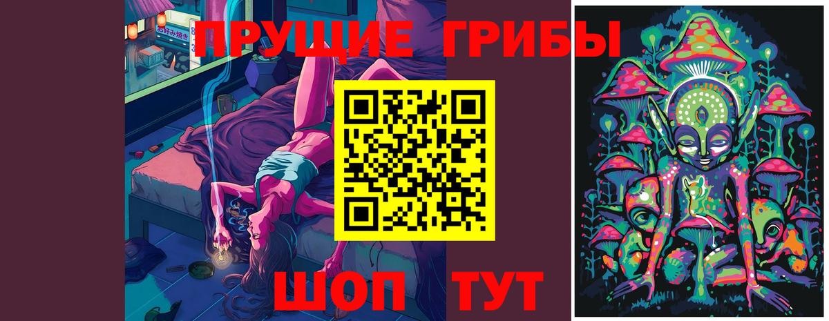 Псилоцибиновые грибы Psilocybine cubensis Архангельск