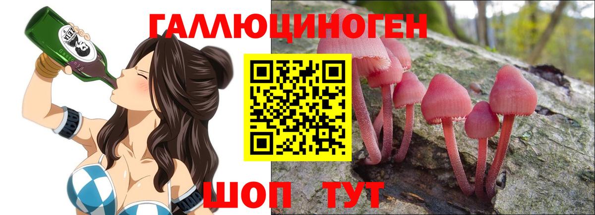 Псилоцибиновые грибы Magic Shrooms  Галлюциногенные грибы MAGIC MUSHROOMS  Архангельск 