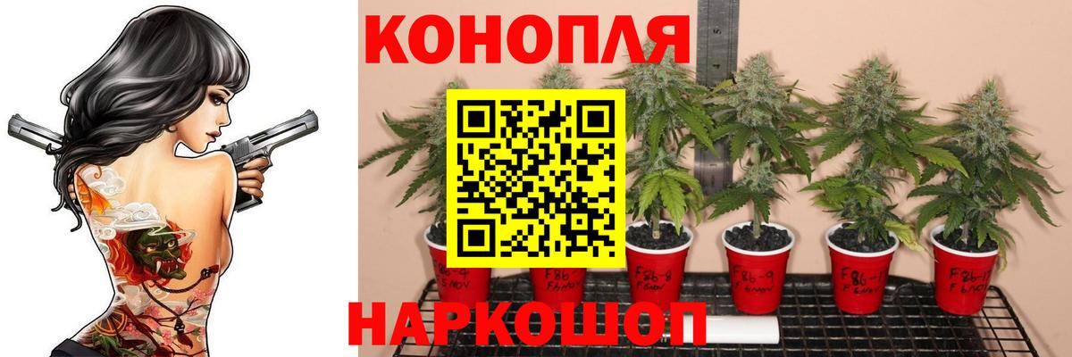 Конопля гибрид  Вход с VPN  МАРИХУАНА ГИДРОПОН  Шишки марихуана план  Архангельск  Шишки марихуана гибрид 